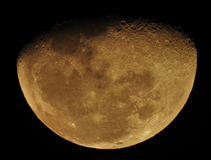 Nikon COOLPIX P1000 16MP 125x Optical Zoom 24-3000mm f/2.8 Digital Camera