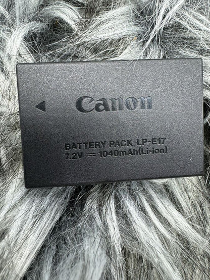 Canon EOS 77D 24.2 MP Digital SLR Camera with ef-s 18-55mm & ef-s 55-250mm Lenses