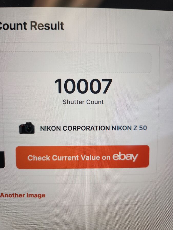 Nikon Z50 Body Only with Small Rig Z50 Cage