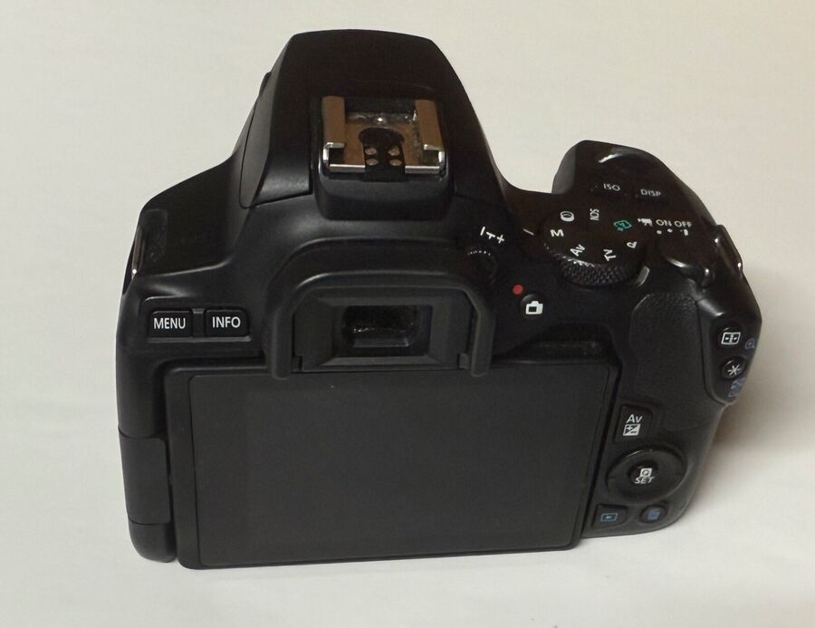 Canon EOS Rebel SL3 dSLR with Five Lenses and Accessories